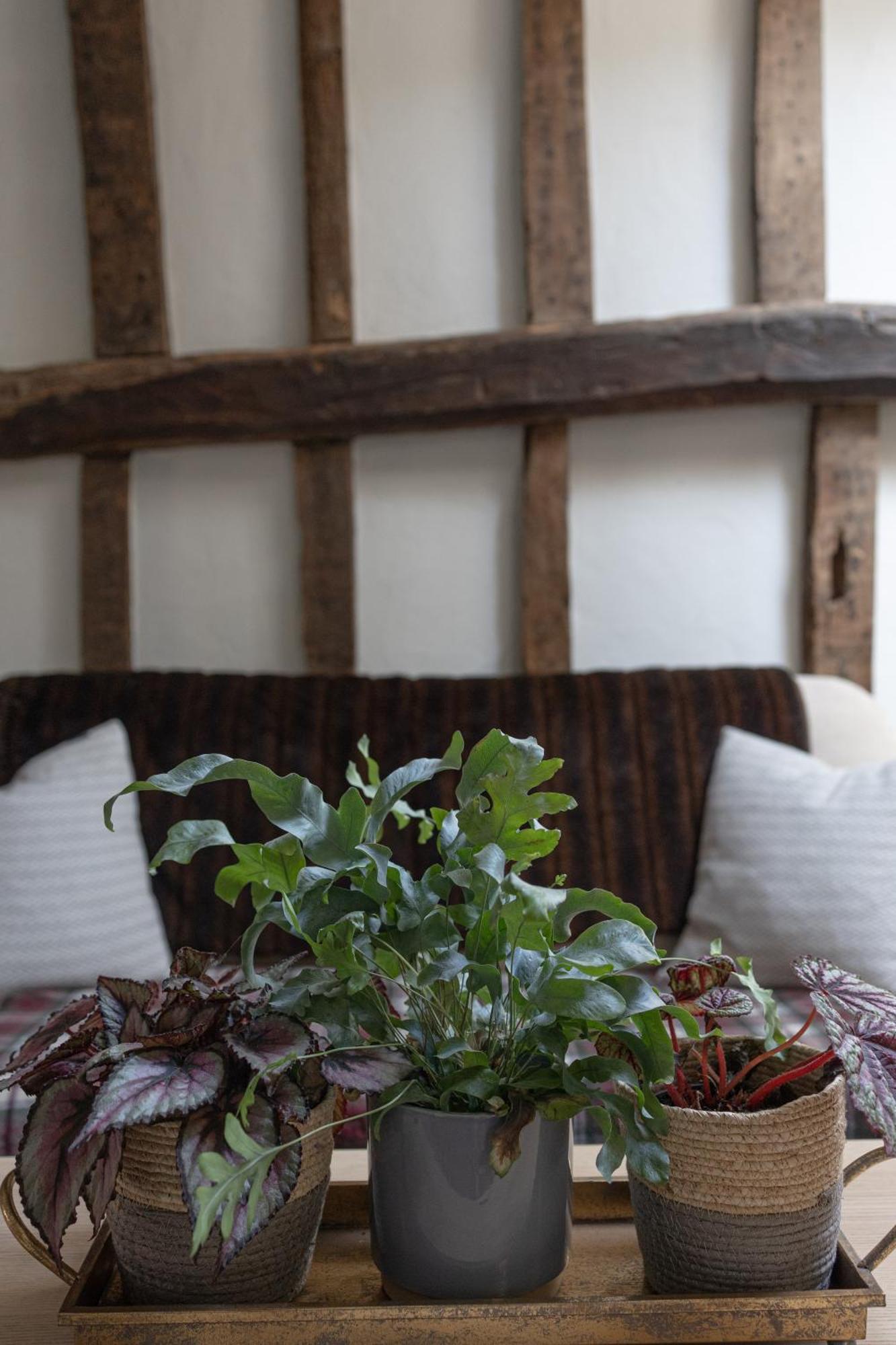 Saltmarsh Farmhouse Westdean Dış mekan fotoğraf